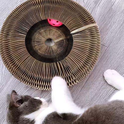 GRIFFOIR JOUET INTERACTIF POUR CHAT